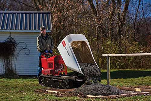 Tracked Georgia Buggy